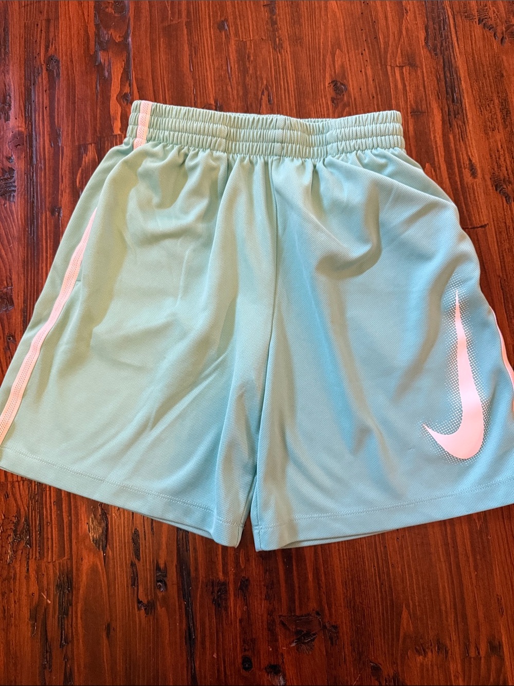 Nike Boy’s Mint Athletic Shorts with White Swoosh